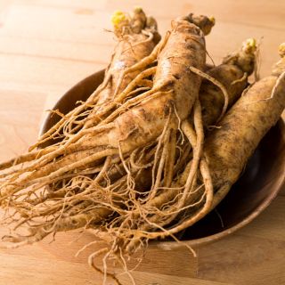 Ginseng